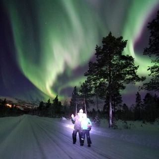Alta: tour guidato dell'aurora boreale per piccoli gruppi e stare insieme