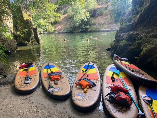 Visit From Porto: SUP Paiva River Tour with Transfer in Espinho