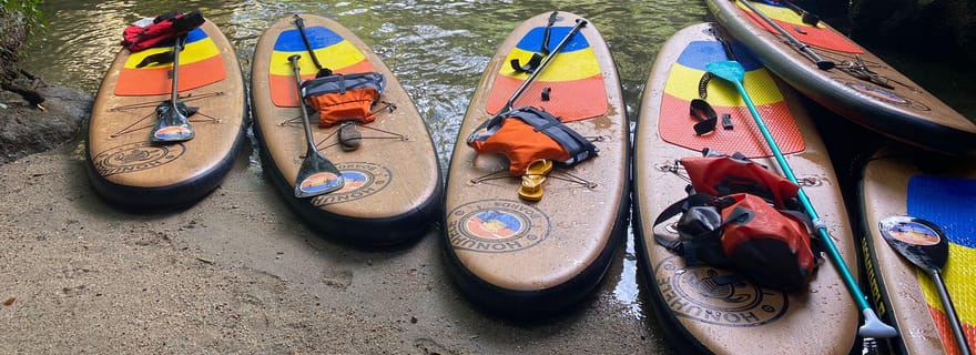 Depuis Porto : SUP Paiva River Tour avec transfert