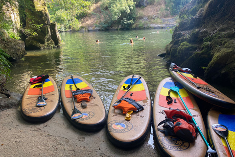 From Porto: SUP Paiva River Tour with Transfer