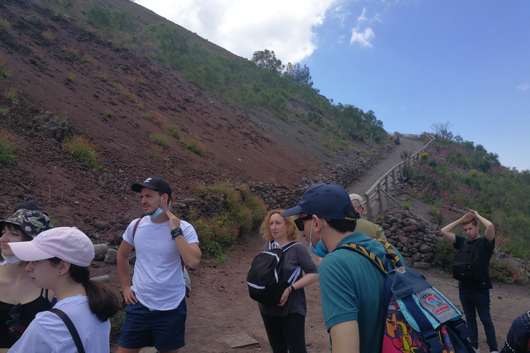 Naples: voyage à Pompéi, au mont Vésuve et à Herculanum