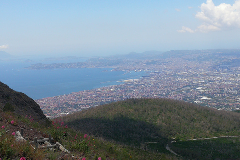 Naples: voyage à Pompéi, au mont Vésuve et à Herculanum