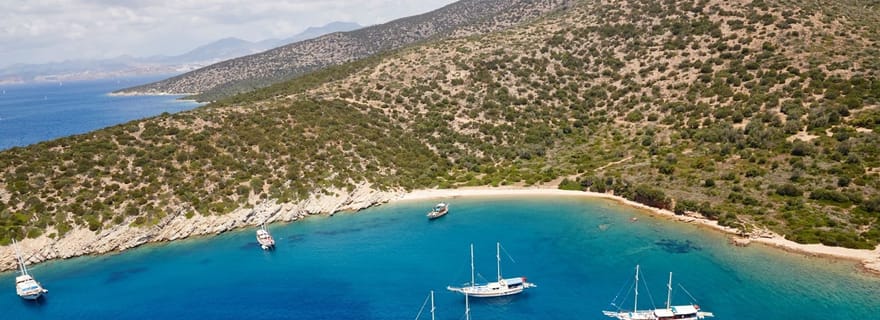 Excursion en bateau à l'île d'Orak depuis Bodrum