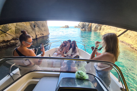 Dubrovnik: The Secrets of the Elafiti Islands Boat TourHalf-Day Tour