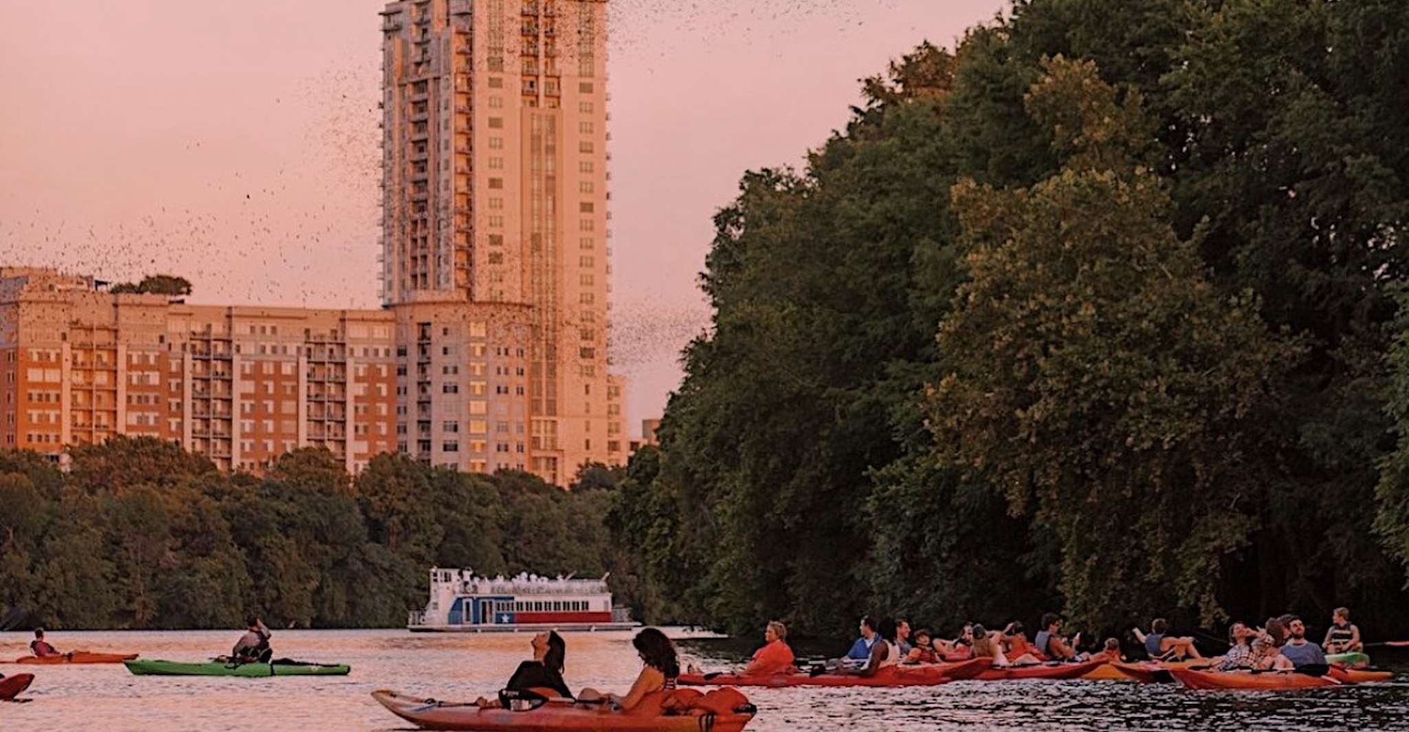 Austin, Sunset Bat Watching Kayak Tour - Housity