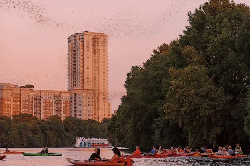 Austin Sunset Bat Watching Kayak Tour GetYourGuide