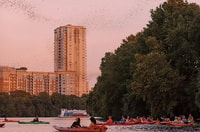 Austin, Sunset Bat mirando Kayak Tour - Housity