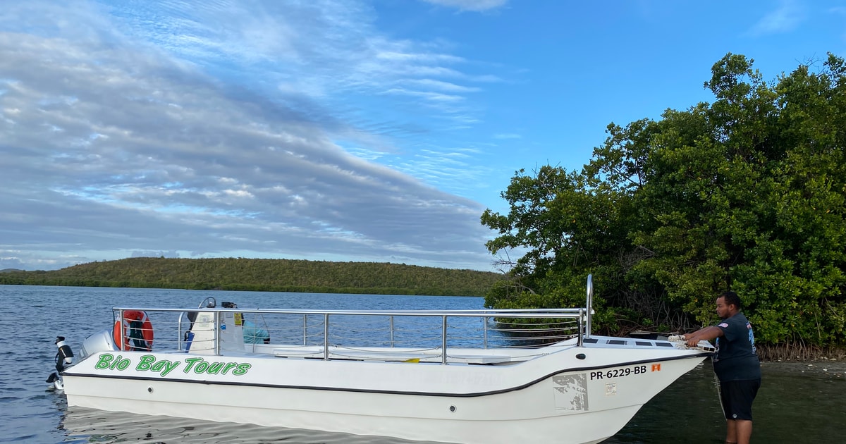 Vieques: Bioluminescent Bay Boat Tour | GetYourGuide