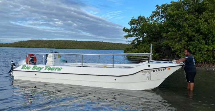 Vieques Bioluminescent Bay Boat Tour GetYourGuide