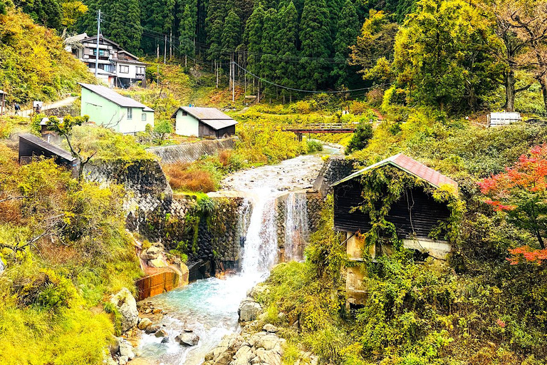 From Tokyo: Nagano Day Trip with Snow Monkey Park