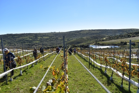 Punta del Este: winiarnia dla smakoszy