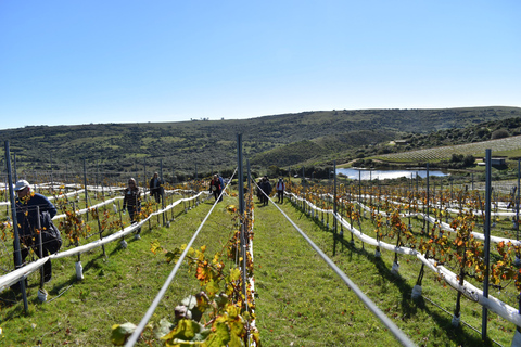 Punta del Este : L'Expérience Gourmet Winery