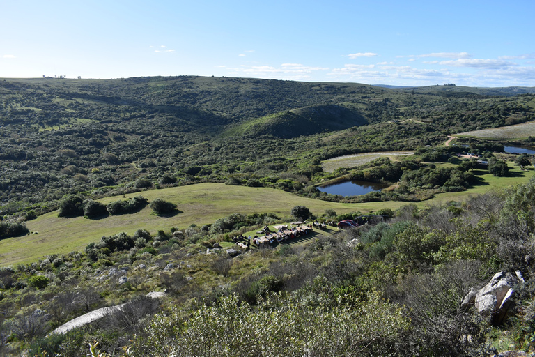 Punta del Este : L'Expérience Gourmet Winery