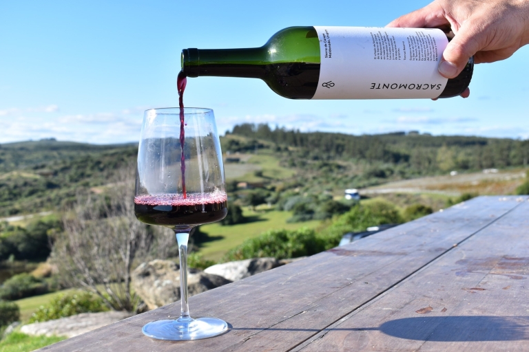 Punta del Este: winiarnia dla smakoszy