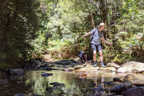 Tasmania: Excursión guiada de 6 días por la naturaleza y la vida salvaje