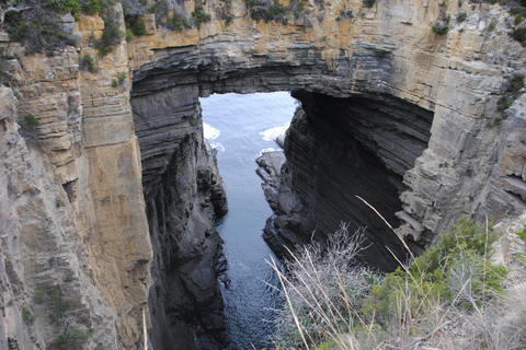 Tasmania: Wilderness and Wildlife Guided 6-Day Tour Tour with Motel Twin Room