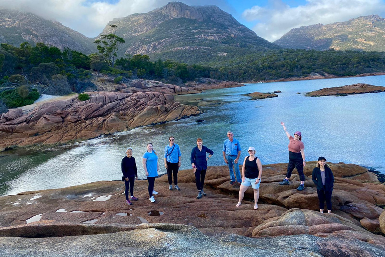 Tasmania: Wilderness and Wildlife Guided 6-Day Tour Tour with Hostel Single Room