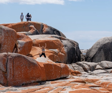 Tasmania: 7-Day West to East Tour