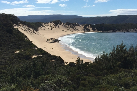 Tasmanien: 7-tägige Tasmanien-Highlights-TourTour mit Einzelbett im Schlafsaal