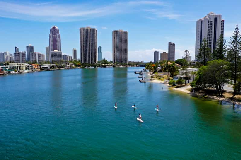 Gold Coast 2Hour Standup Paddleboarding Tour & Marine Life GetYourGuide