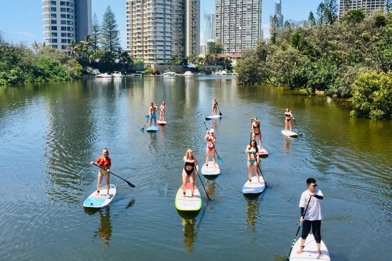 Gold Coast: 2-stündige Standup Paddleboarding Tour & Meeresleben