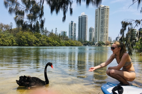 Gold Coast : leçon de stand-up paddle d'une heure et photosLeçon privée