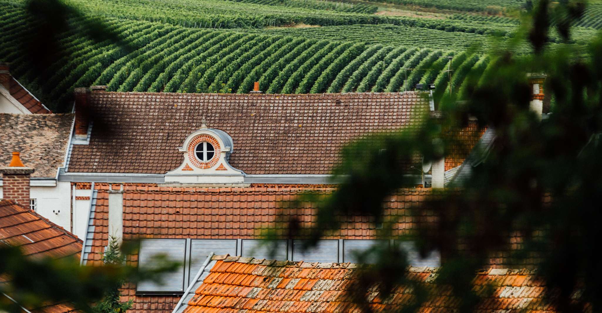 Champagne, Canard-Duchêne Champagne House Tour - Housity