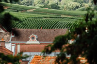 Champagne, Duck-Duchêne Champagne House Tour - Housity