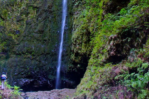 Madeira: Queimadas, Caldeirão Verde en Levada Walk