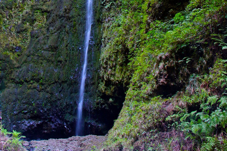 Madeira: Queimadas, Caldeirão Verde en Levada Walk