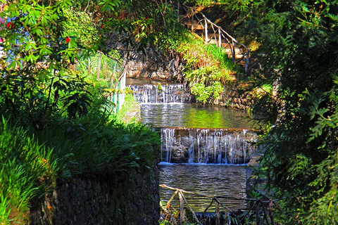 Madeira: Queimadas, Caldeirão Verde en Levada Walk