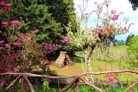 Madeira: Queimadas, Caldeirão Verde and Levada Walk