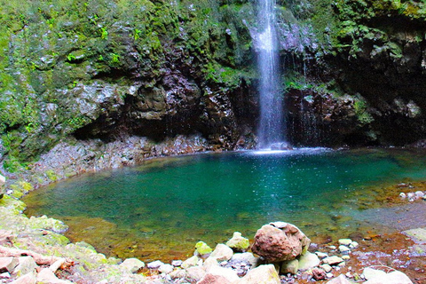 Madeira: Queimadas, Caldeirão Verde en Levada Walk