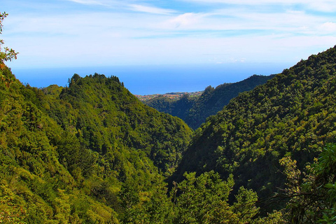 Madeira: Queimadas, Caldeirão Verde en Levada Walk