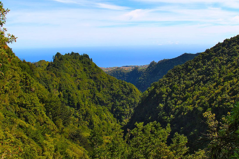 Madeira: Queimadas, Caldeirão Verde en Levada Walk