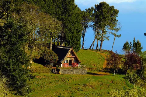 Madeira: Queimadas, Caldeirão Verde y Paseo de Levada