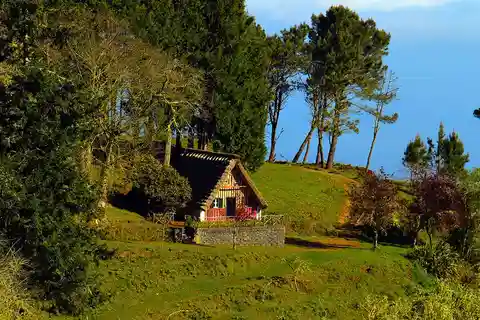 Madeira: Queimadas, Caldeirão Verde und Levada Walk