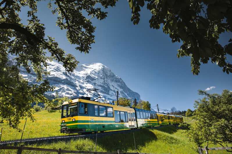 Zurich : Excursion d'une journée en train au Mont Eiger via le col de la Petite Scheidegg