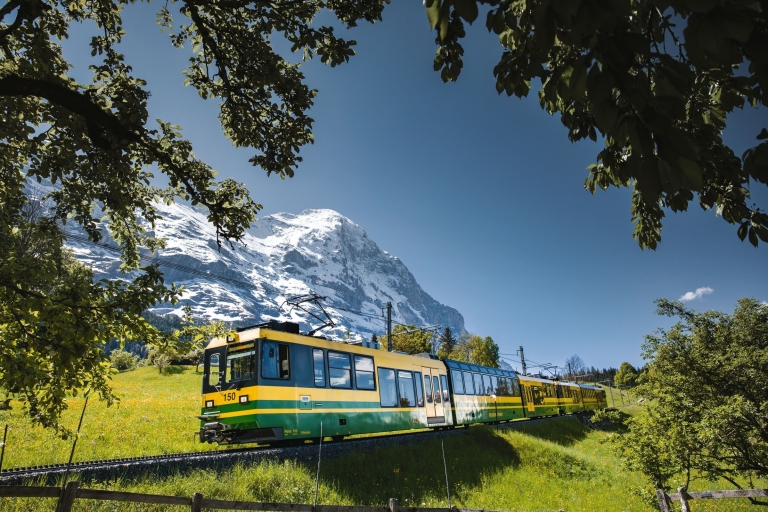 Zurich: excursion d'une journée en bus et en train via le col Kleine Scheidegg