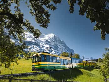 From Zurich: Mount Eiger Day Trip to Kleine Scheidegg
