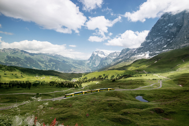 Zúrich: viaje de un día en autobús y tren a través del pase Kleine Scheidegg