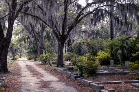 Savannah : Jeu d'exploration des fantômes de la ville