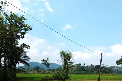 Polgampola Waterfall Tour by Tuk Tuks From Bentota area