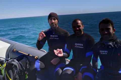 Sesimbra: Beginner's Scuba Diving in Arrabida Natural Park