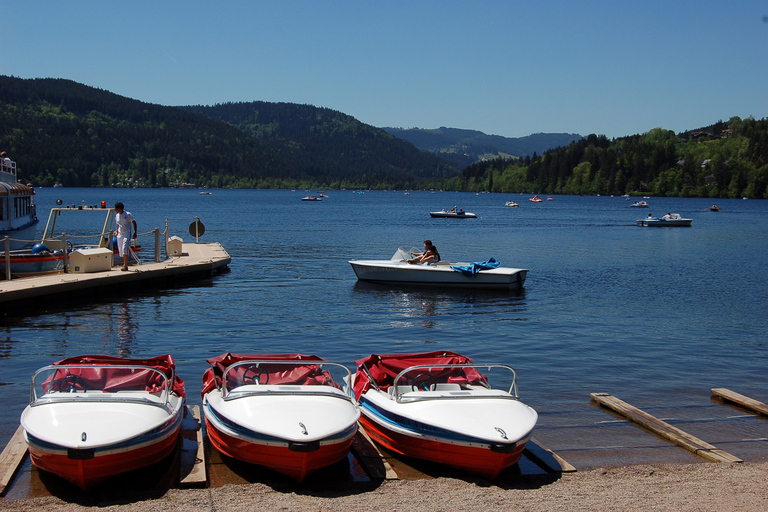 Zurich : Excursion d&#039;une journée en bus dans la Forêt-Noire, le Titisee et les chutes du Rhin