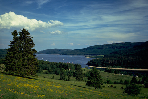 Zürich: busdagtrip Zwarte Woud, Titisee en Rijnwaterval