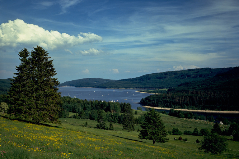 Zürich: Schwarzwald, Titisee und Rheinfall Bustagesausflug