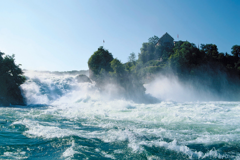 Zürich: busdagtrip Zwarte Woud, Titisee en Rijnwaterval