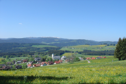 Zürich: busdagtrip Zwarte Woud, Titisee en Rijnwaterval