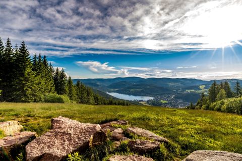 Zurique: Viagem de um dia à Floresta Negra, Titisee e Cataratas do Reno